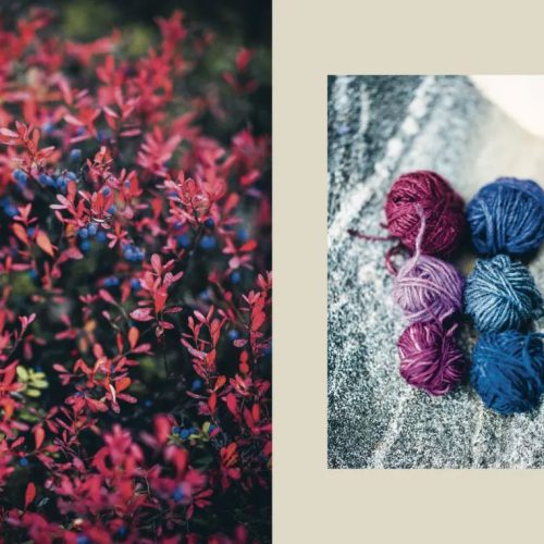 Arctic Knitting – The Magic of Nature and Colourwork anna ja Eila yarn shop